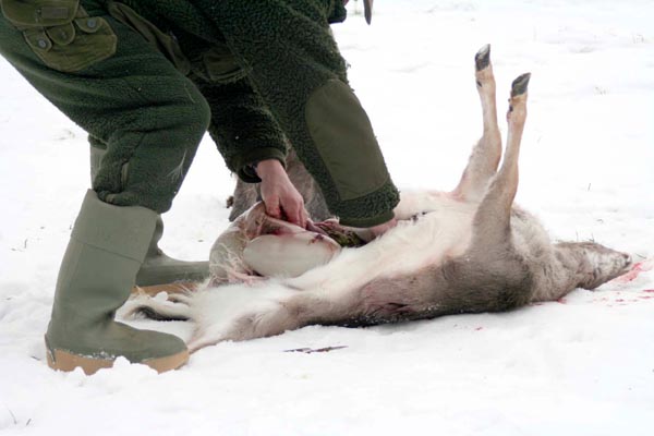 Killikus® Fotographie Killikus® Fotographie